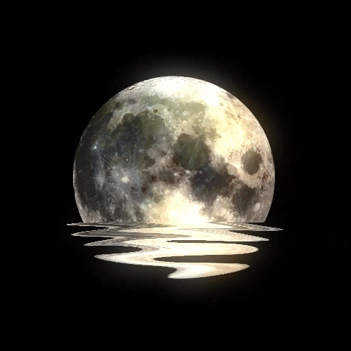 MOON: GIANT STEPS