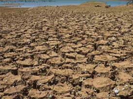 Desertification