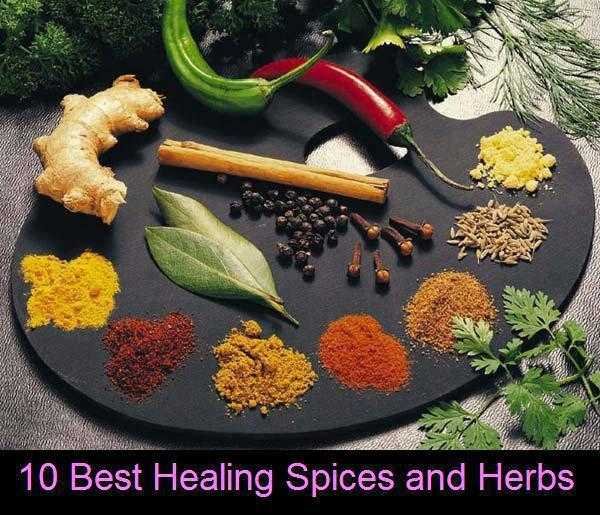 top ten healing herbs and spices