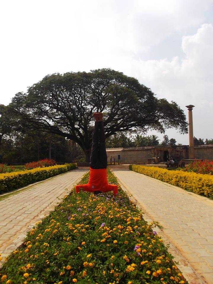 Flowering of Badari Narayan-fnbworld
