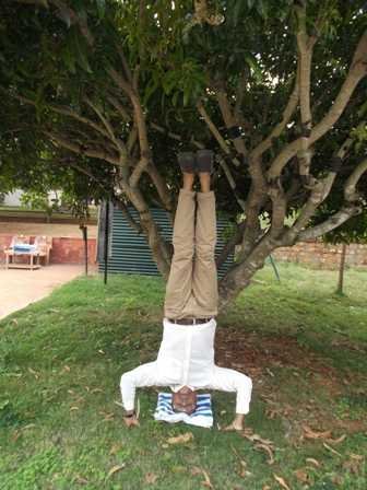Badari and trees-fnbworld