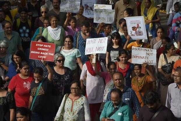 Cow Vigilantes-fnbworld