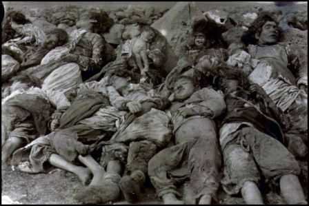 Genocide corpses-fnbworld
