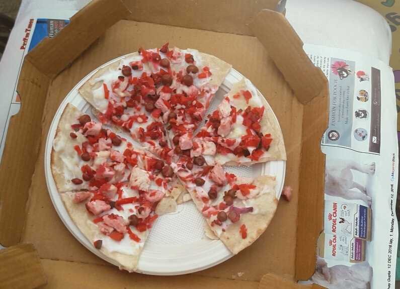 Dog pizza by Puppychino at pet fed-fnbworld-ridhi chhabra