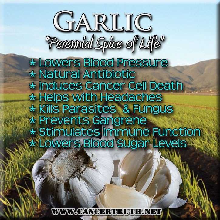 Benefits of garlic-fnbworld-chaitali aggarwal