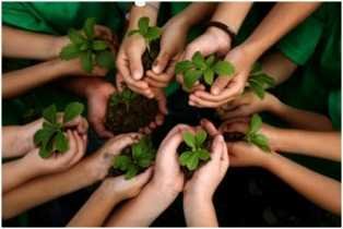 Green development-fnbworld