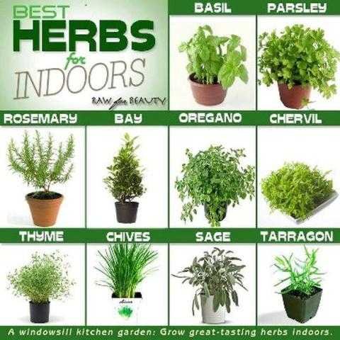 Fine herbs