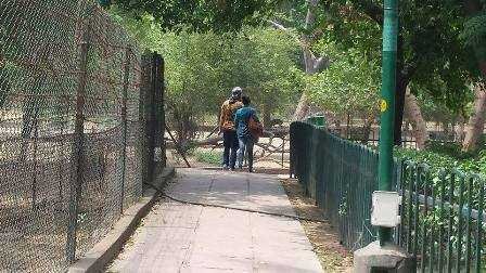 In love's pathway-Chaitali Aggarwal-fnbworld