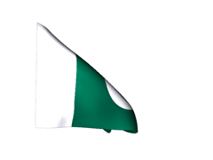 Pak flag-fnbworld