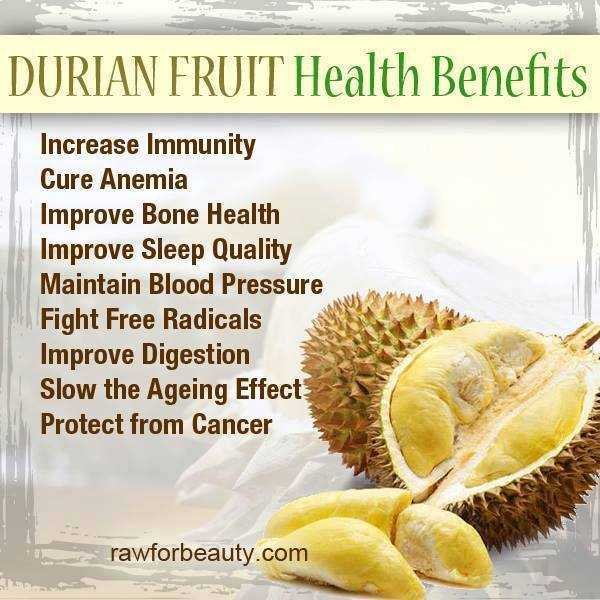 Durian fruit for health-fnbworld