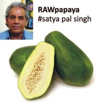 RAWpapaya by Satya Pal Singh-fnbworld