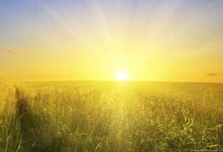 Rising golden sun-fnbworld