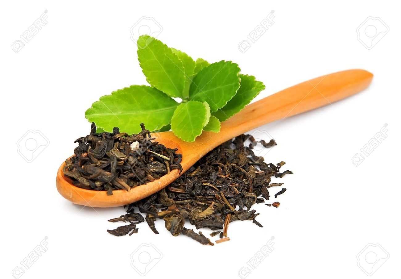 Tea and herbs - nazuk ahluwalia-fnbworld