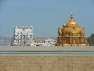 Tirumala gongurams-fnbworld