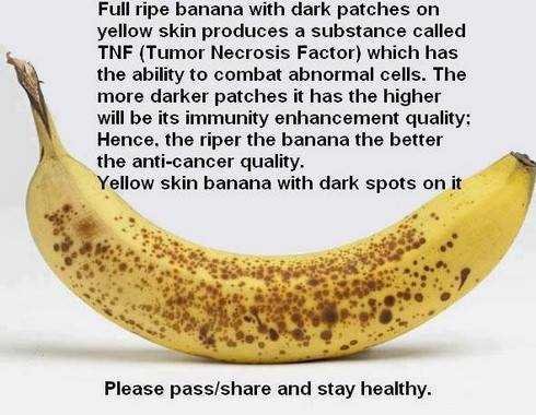 Banana Magic-fnbworld