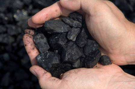 Handful of coal can damage environment-fnbworld