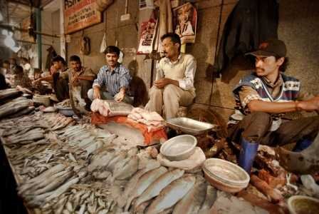 cr park fish market