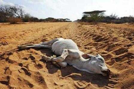 Drought-India-fnbworld