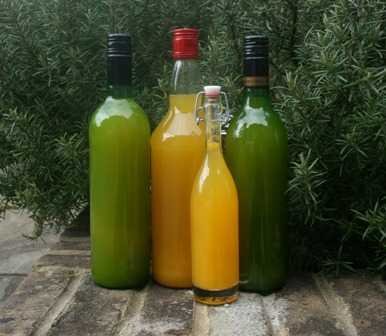Orange-lemon squash-fnbworld