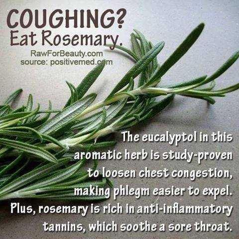 Rosemary for cough-fnbworld