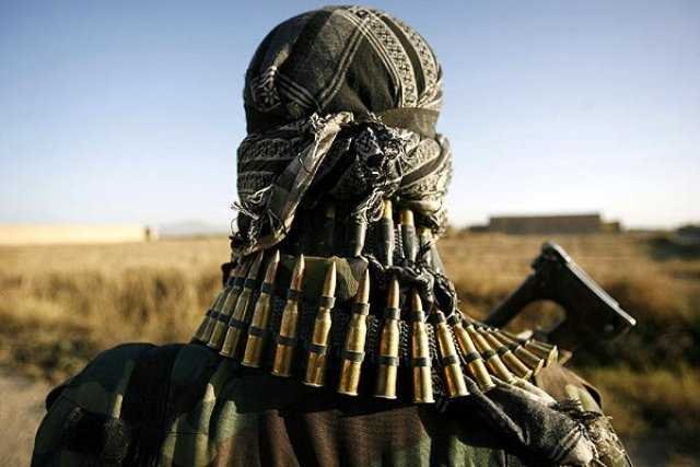 A lonely terrorist-fnbworld
