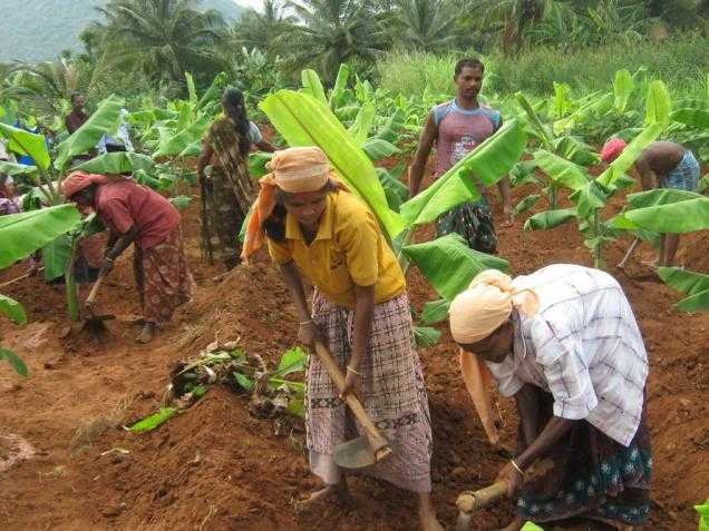 Tribals in their land